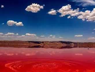 دریاچه مهارلو شیراز به رنگ صورتی بازگشت + تصاویر 