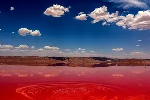 دریاچه مهارلو شیراز به رنگ صورتی بازگشت + تصاویر 