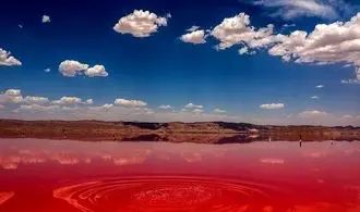 دریاچه مهارلو شیراز به رنگ صورتی بازگشت + تصاویر 