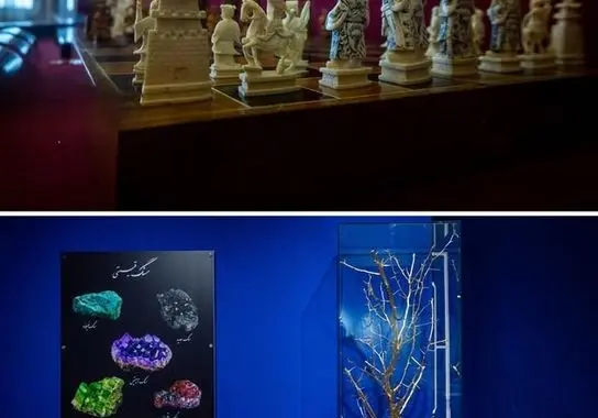 photo_5_2025-12-07_20-59-09