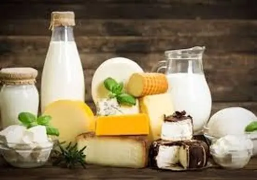 قیمت‌های جدید لبنیات اعلام شد؛ ماست دبه ای و شیر بطری چند شد؟