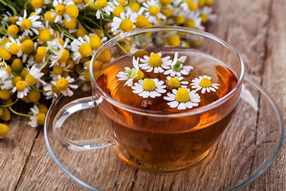 بابونه و خواص درمانی این گیاه برای معده
