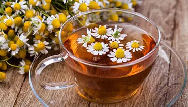 بابونه و خواص درمانی این گیاه برای معده

