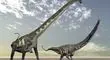 براکیوسور کوچک؛ دایناسوری که هنوز زنده است! + فیلم