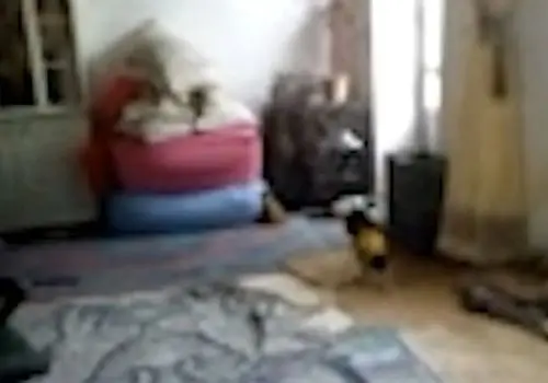 ارتش ما برای بدترین سناریوها آماده است