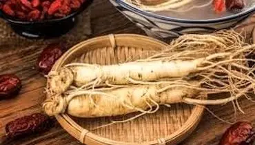 جینسینگ؛ ریشه‌ای کوچک با قدرتی بزرگ

