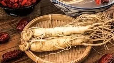 جینسینگ؛ ریشه‌ای کوچک با قدرتی بزرگ

