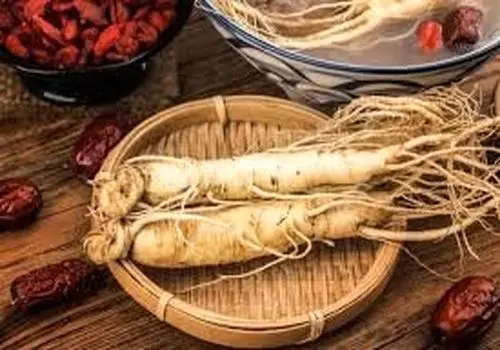 جینسینگ؛ ریشه‌ای کوچک با قدرتی بزرگ

