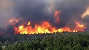   جنگل سراوان گیلان غرق در آتش+ فیلم