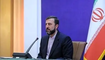 تصمیم‌گیری درباره بازدید آژانس از تاسیسات هسته‌ای بر عهده شورای عالی امنیت ملی است

