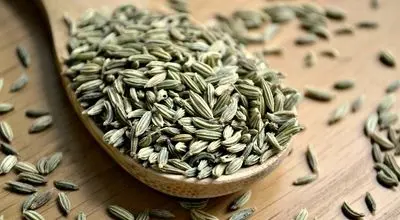 مصرف بیش از حد این گیاه در قاعدگی خطرناک است