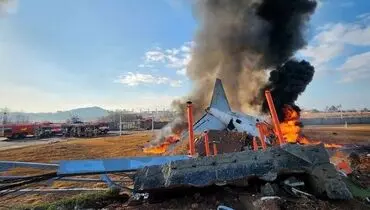 ۱۸۱ کشته در سقوط هواپیمای کره جنوبی