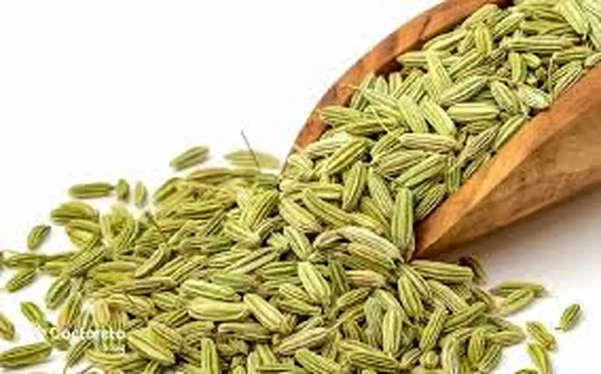  مهم ترین خواص رازیانه برای رحم و تخمدان