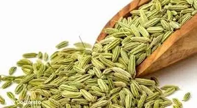  مهم ترین خواص رازیانه برای رحم و تخمدان