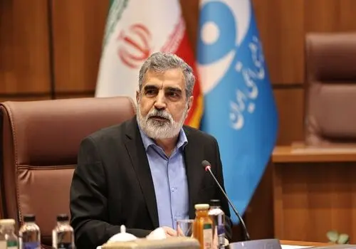 کمالوندی: بحث اصلی این است که خودمان بتوانیم راکتورساز باشیم