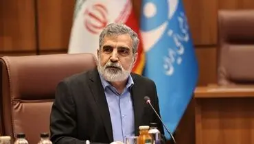کمالوندی: برخورداری کامل از فناوری صلح‌آمیز هسته‌ای، حق ایران است
