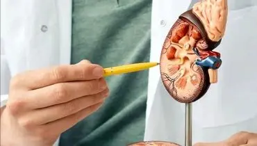 علائم اصلی تومور کلیه چیست؟/ ویدئو