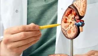 علائم اصلی تومور کلیه چیست؟/ ویدئو