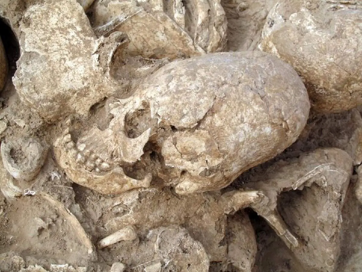 کشف  گودال عجیب و ترسناک 1200 ساله با جمجمه‌های باستانی در دل یک مزرعه + عکس
