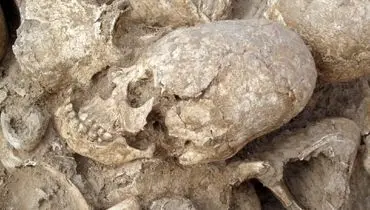 کشف  گودال عجیب و ترسناک 1200 ساله با جمجمه‌های باستانی در دل یک مزرعه + عکس
