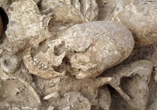 عکس «سحابی جمجمه» از زاویه تلسکوپ جیمز وب