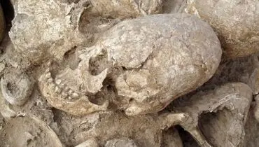 کشف  گودال عجیب و ترسناک 1200 ساله با جمجمه‌های باستانی در دل یک مزرعه + عکس
