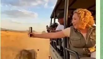 بهای سهل‌انگاری: وقتی طبیعت قصه‌ی تو را می‌سازد/ویدیو 