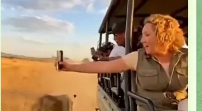 بهای سهل‌انگاری: وقتی طبیعت قصه‌ی تو را می‌سازد/ویدیو 