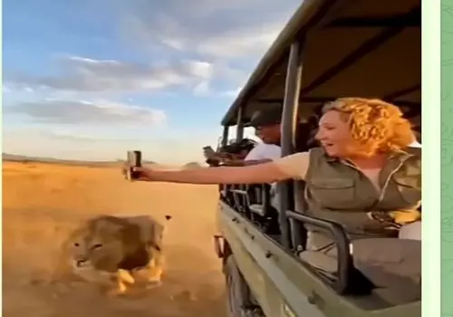 بهای سهل‌انگاری: وقتی طبیعت قصه‌ی تو را می‌سازد/ویدیو 