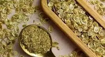  گلپر در چه غذا هایی استفاده می شود؟