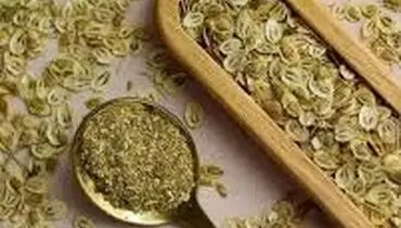  گلپر در چه غذا هایی استفاده می شود؟