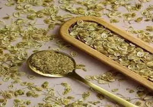 ۵ ادویه شفابخش که سردی معده را از بین می برد