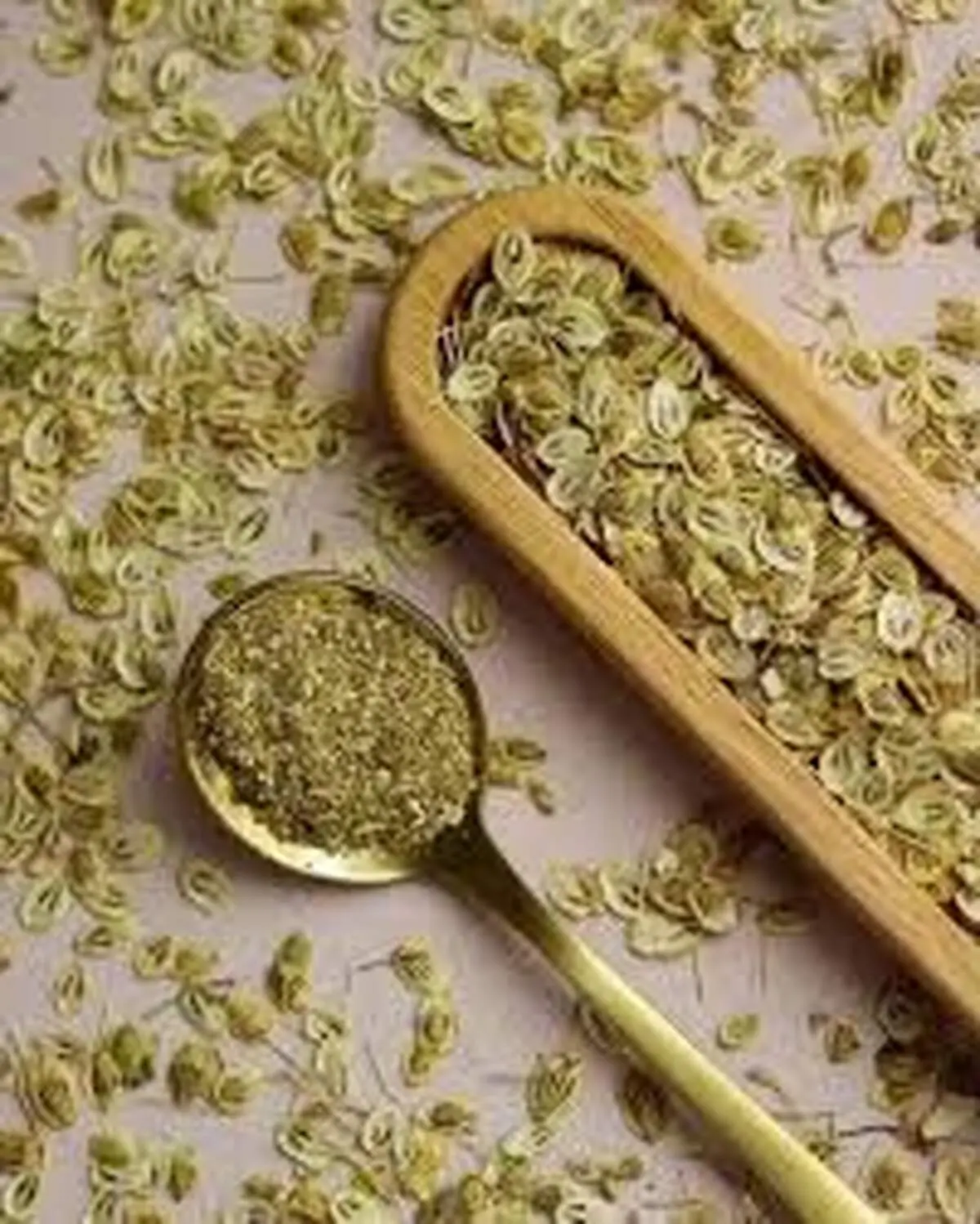  گلپر در چه غذا هایی استفاده می شود؟