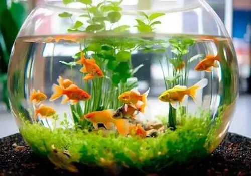 بایدها و نبایدهای تغذیه‌ای در عید نوروز