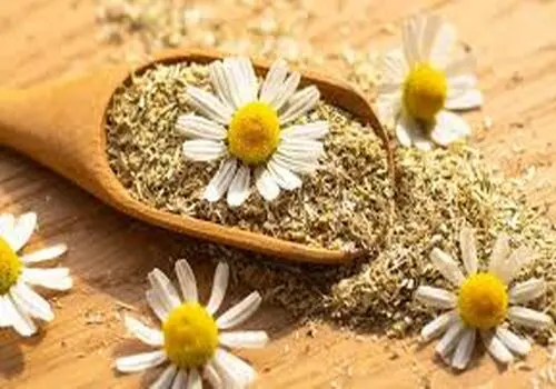 اول صبح چای داغ بخوریم یا نه ؟ 