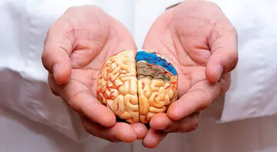 راهکار عجیب  دانشمندان برای پیشگیری از آلزایمر