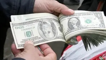 افت قیمت دلار، یورو و درهم | اعلام قیمت انواع ارز در مرکز مبادله