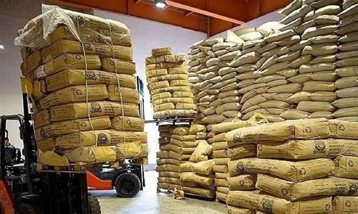 آخرین خبر از واردات چای به کشور