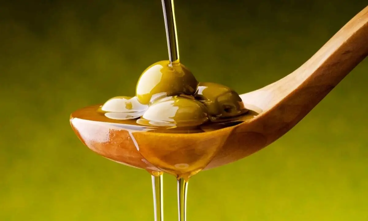 روغن زیتون؛ سپر مغز شما! یافته شوکه‌کننده هاروارد!