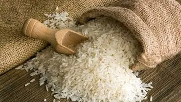 برنج ایرانی در مسیر گرانی/ از مزرعه تا بازار چه گذشت؟
