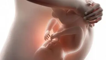 چگونه جواب آزمایش بارداری را بخوانیم؟