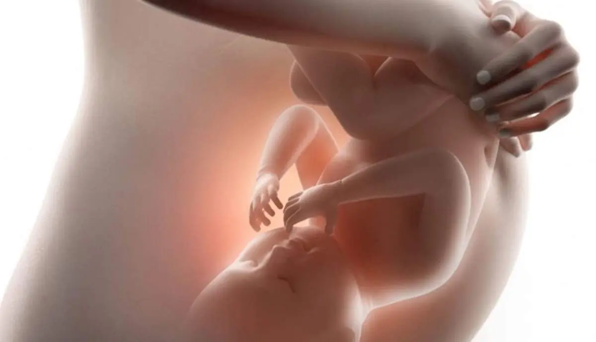 چگونه جواب آزمایش بارداری را بخوانیم؟