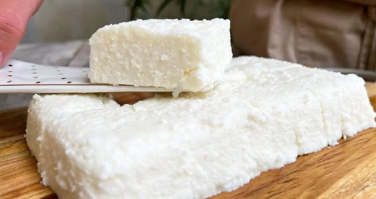 طرز تهیه دسر یخچالی ماست فقط با سه ماده + فیلم/ لذیذترین دسر یخچالی سالم و رژیمی
