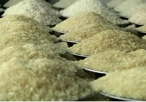 قیمت جدید برنج  هندی و پاکستانی اعلام شد