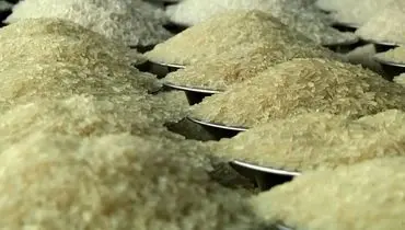 قیمت برنج کاهشی شد/توزیع برنج ایرانی و خارجی برای تنظیم بازار