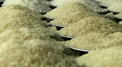 قیمت برنج کاهشی شد/توزیع برنج ایرانی و خارجی برای تنظیم بازار