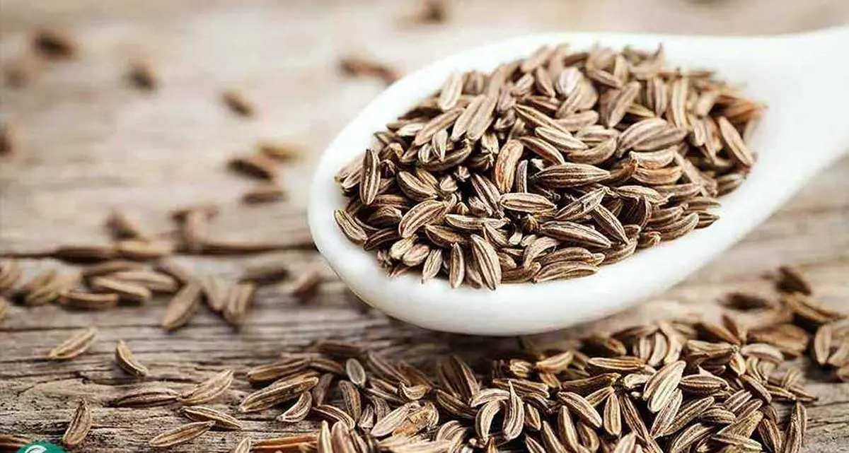 معجزه زیره برای دیابتیها + فیلم