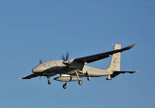 الله اکبر گفتن این پرنده در ترکیه وایرال شد+ فیلم