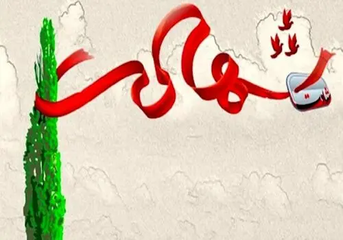 همسر فوتبالیست شهید به شهادت رسید + عکس