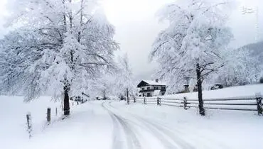 یخبندان ۴۵ درجه زیر صفر در یاکوتسک؛ سردترین شهر بزرگ جهان همچنان در جریان زندگی+فیلم